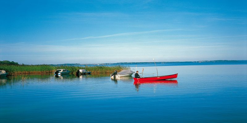 Ruderboot auf dem Malchiner See // Rowing boat on lake of Malchin