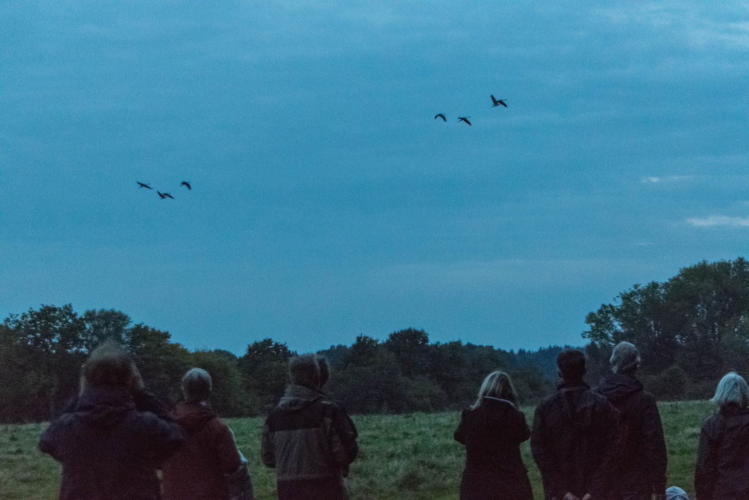 Foto: Abendliche Kranichführung. Fotoautorin: Susanne Hoffmeister