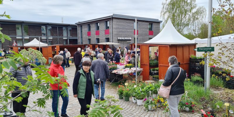 Biosphäre-Schaalsee-Markt in Zarrentin am Schaalsee. Fotoautorin: Susanne Hoffmeister