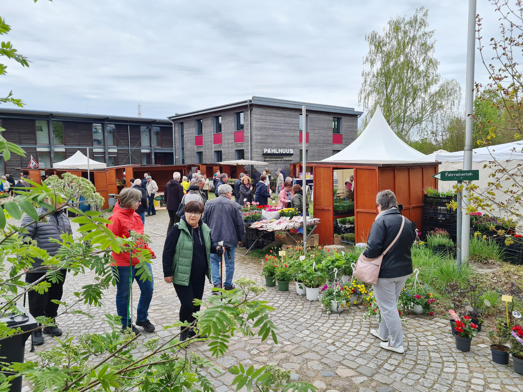 Biosphäre-Schaalsee-Markt in Zarrentin am Schaalsee. Fotoautorin: Susanne Hoffmeister